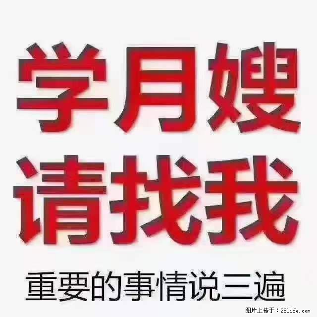 为什么要学习月嫂,育婴师? - 其他广告 - 广告专区 - 扬州分类信息 - 扬州28生活网 yz.28life.com
