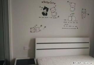 绿地50平米精装朝南公寓靠红星美凯龙麦德龙 - 扬州28生活网 yz.28life.com