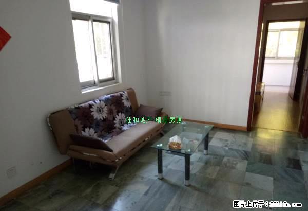 快来看好房急租 窦庄 梅岭校区房 玉器街二楼温馨两室设施齐全 - 房屋出租 - 房屋租售 - 扬州分类信息 - 扬州28生活网 yz.28life.com