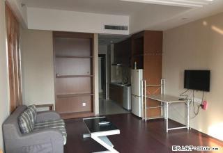 环球金融城，文昌中路，新出一房，精装拎包入住，周边设施齐全 - 扬州28生活网 yz.28life.com