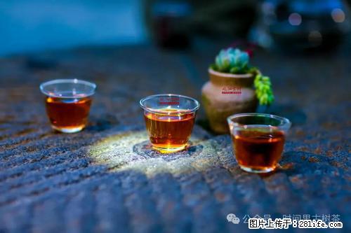 时间果百年古树2025年春红茶 - 购物交流 - 扬州生活社区 - 扬州28生活网 yz.28life.com