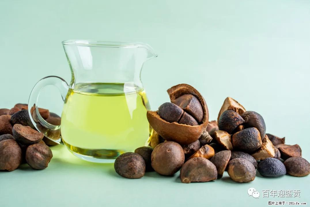 世界没有真相，只有认知，最好的食用油是中国的山茶油！ - 扬州生活资讯 - 扬州28生活网 yz.28life.com