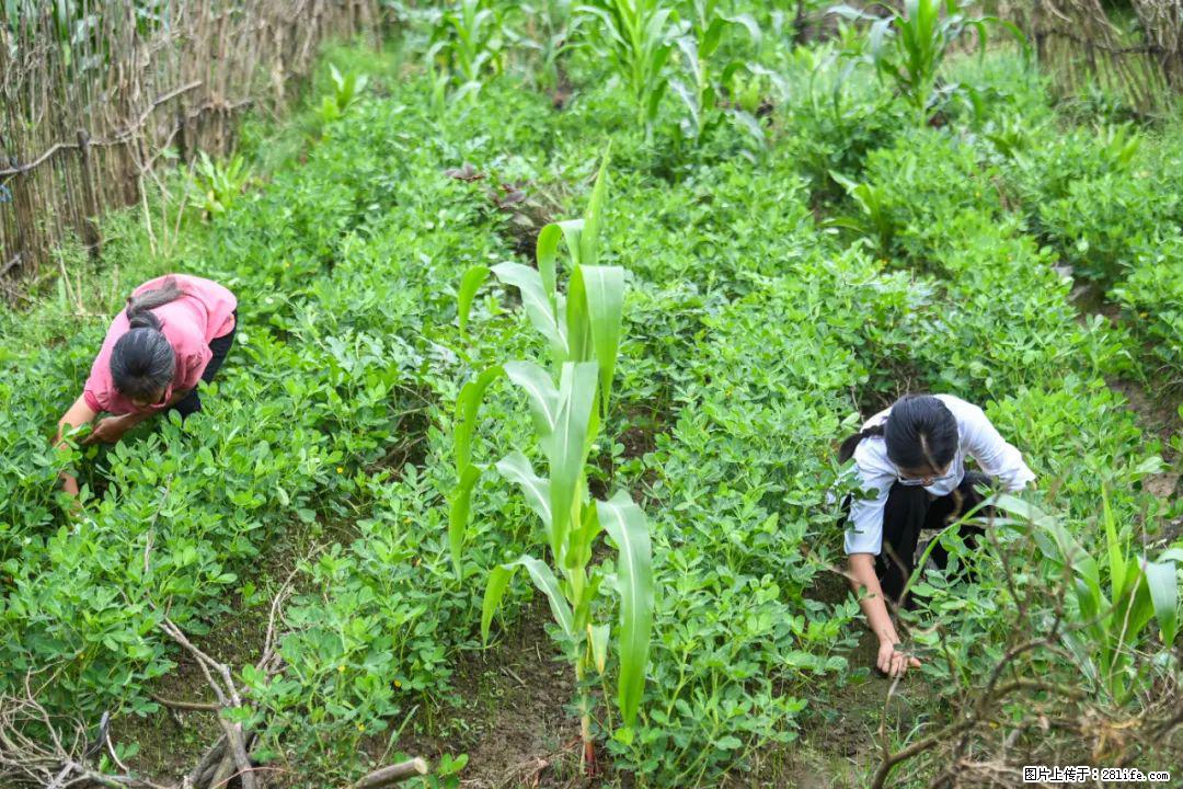 全网追的“扁担女孩”,找了一份暑假工,时薪12元 - 扬州生活资讯 - 扬州28生活网 yz.28life.com
