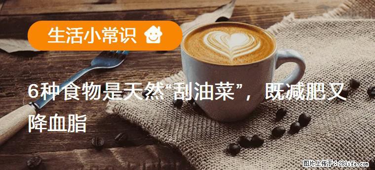 【生活小常识】6种食物是天然“刮油菜”,既减肥又降血脂 - 扬州生活资讯 - 扬州28生活网 yz.28life.com