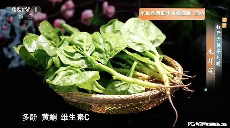 比牛奶补钙还厉害!凉血解毒、稳血糖...这菜冬天必吃,很多人却当草 - 扬州生活资讯 - 扬州28生活网 yz.28life.com