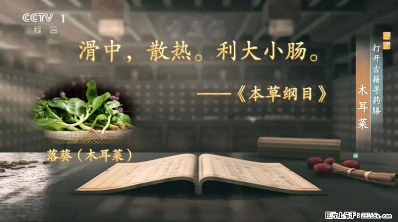 比牛奶补钙还厉害!凉血解毒、稳血糖...这菜冬天必吃,很多人却当草 - 扬州生活资讯 - 扬州28生活网 yz.28life.com