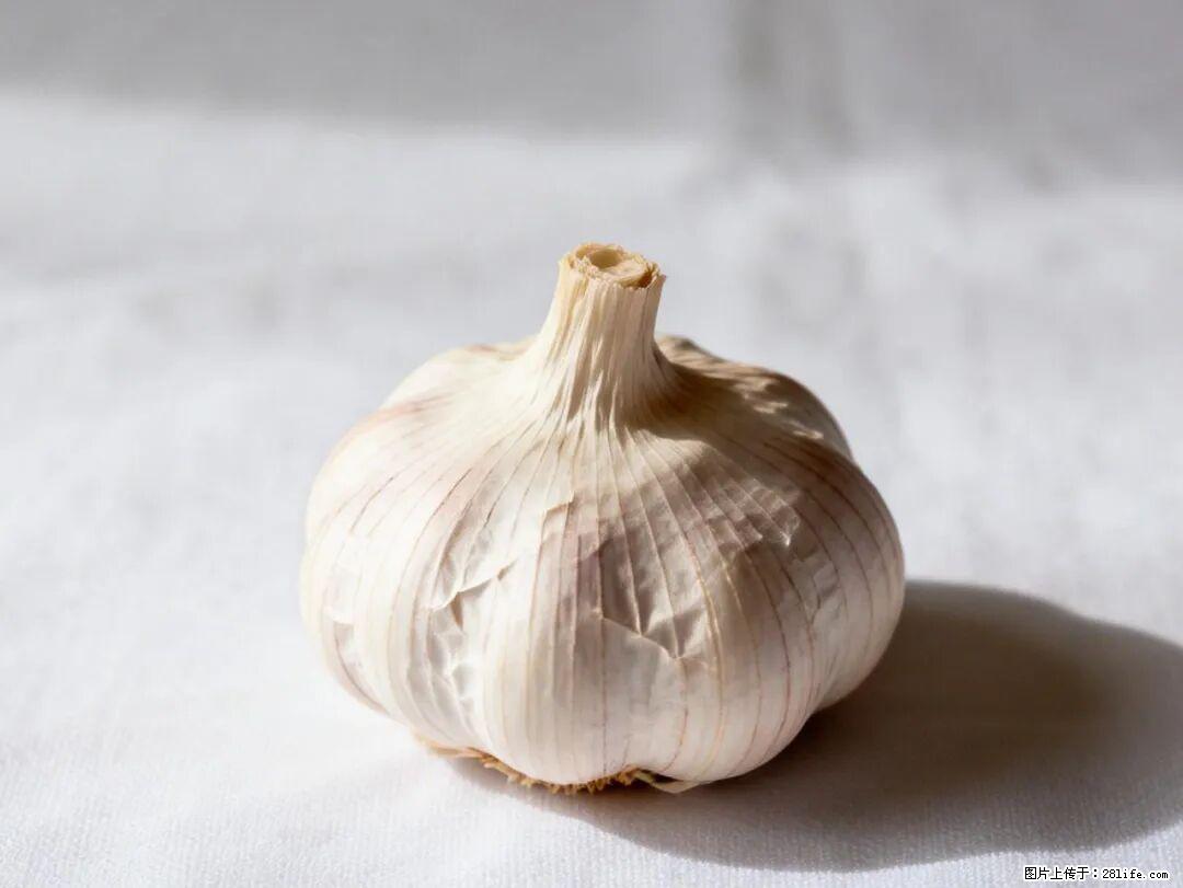 关于大蒜，除了“天然抗生素”，这4个谣言更该警惕! - 扬州生活资讯 - 扬州28生活网 yz.28life.com