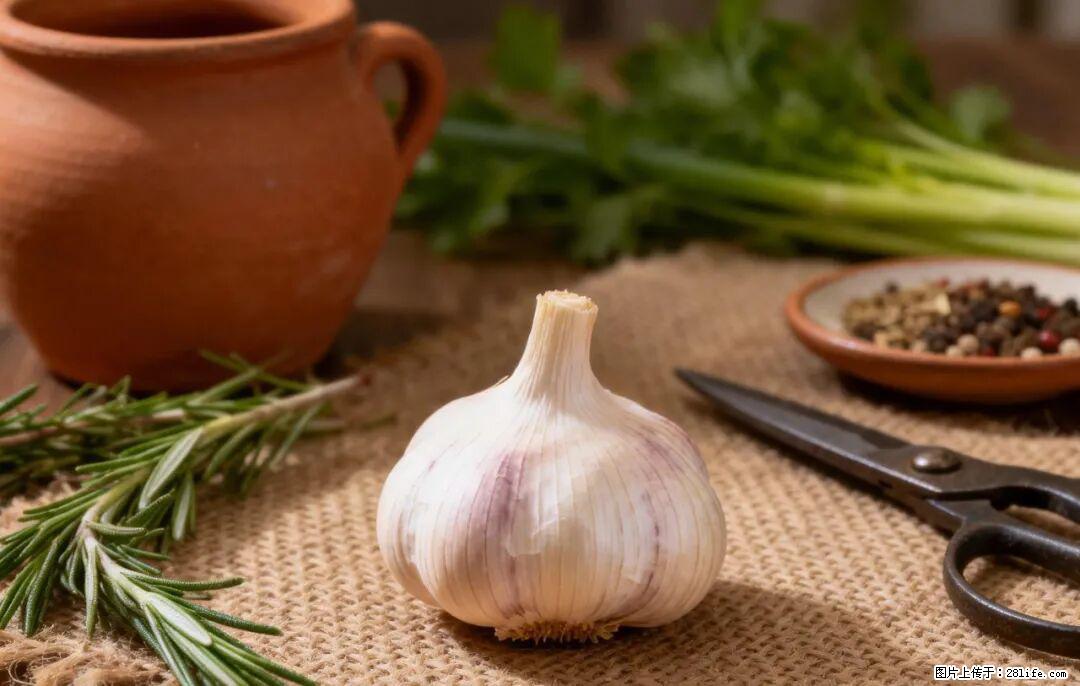 关于大蒜，除了“天然抗生素”，这4个谣言更该警惕! - 扬州生活资讯 - 扬州28生活网 yz.28life.com