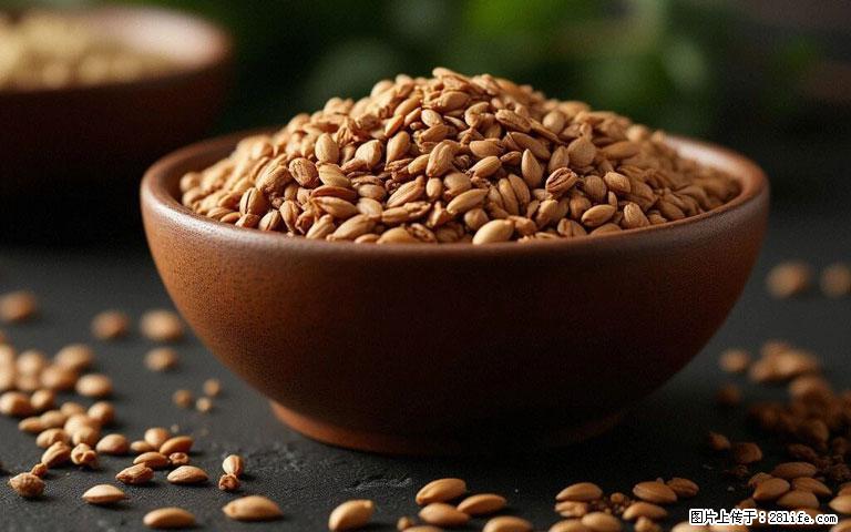 这三苦是三高“克星”，心血管干净不易堵！每天吃一点，指标慢慢降下来~ - 扬州生活资讯 - 扬州28生活网 yz.28life.com