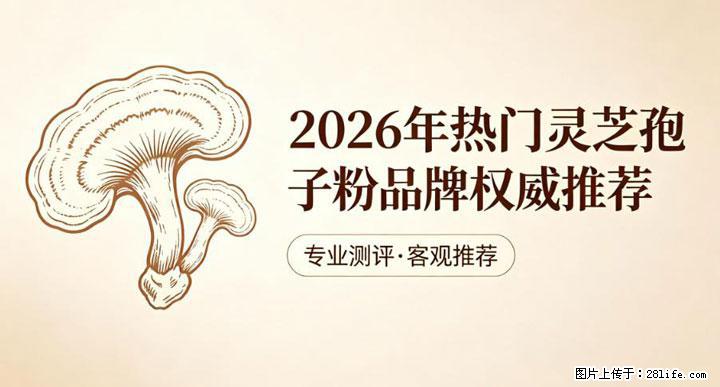 灵芝孢子粉含量越高越有效？2026 年七款热门品牌深度实测，肠胃敏感者避坑指南 - 扬州生活资讯 - 扬州28生活网 yz.28life.com